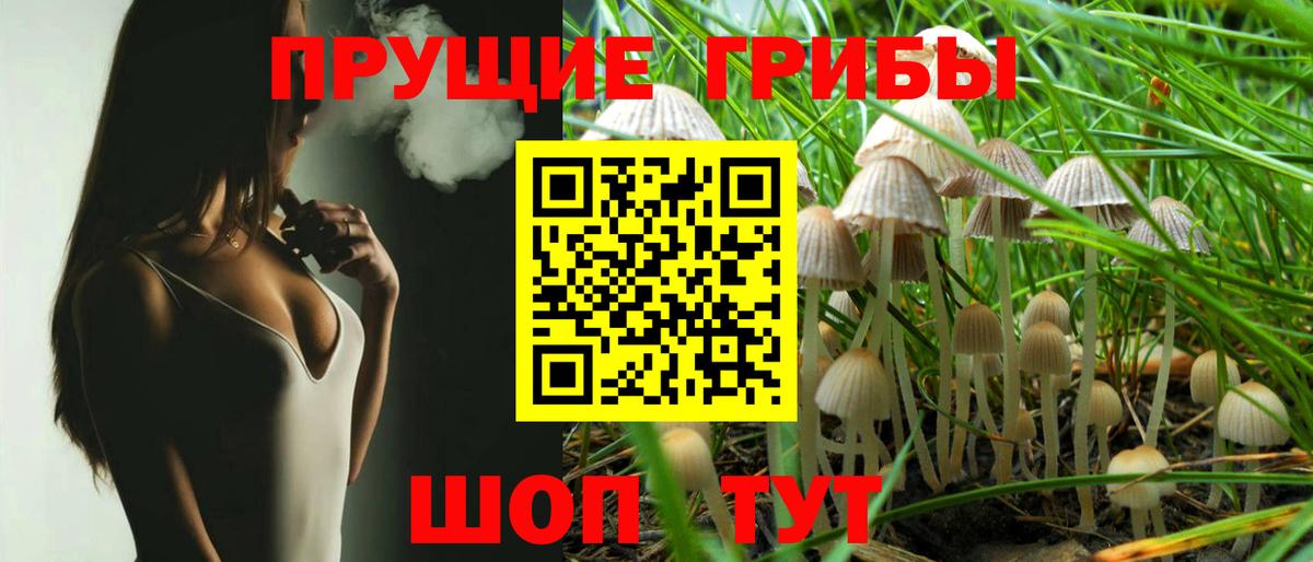 Галлюциногенные грибы GOLDEN TEACHER Махачкала