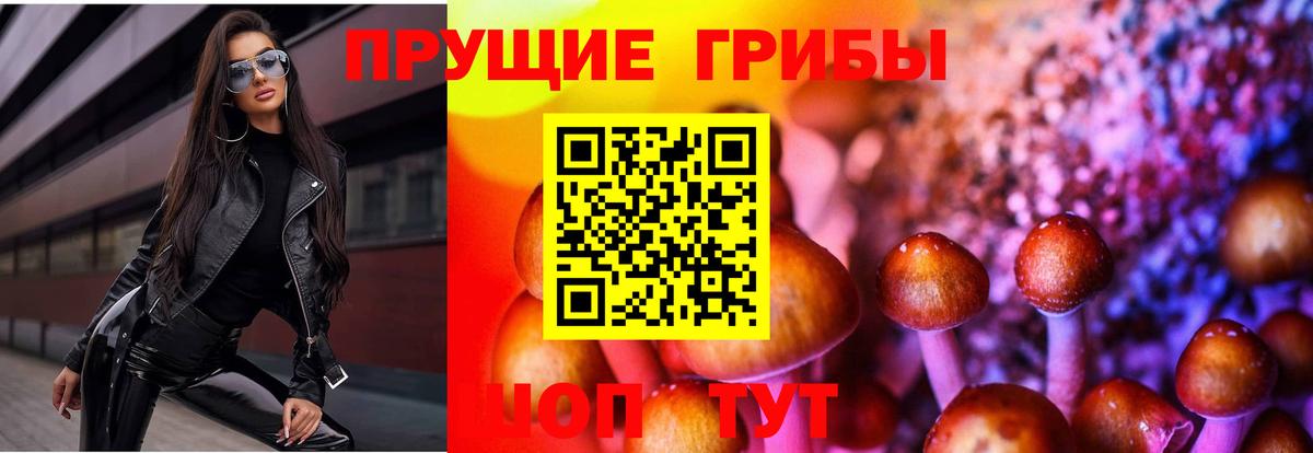 Махачкала  Псилоцибиновые грибы Psilocybine cubensis  Вход с VPN 